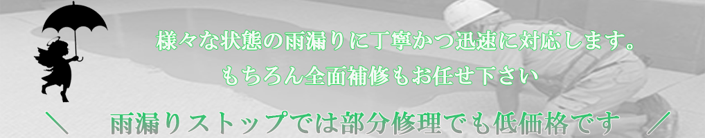 雨漏り 部分修理